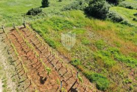 Marčana, atraktivno građevinsko zemljište, Marčana, Tierra