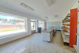 Kuća 247m2 + poslovni prostor 69m2 - Hlebine, Hlebine, Maison