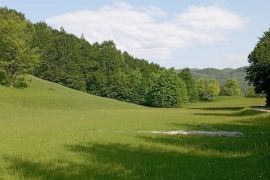 Gorski Kotar, planinska kuća okružena mirom, Lokve, Casa