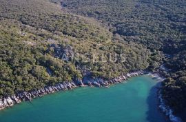 Pelješac - atraktivno zemljište iznad skrivene uvale i plaže - 7000 m2, Trpanj, Terreno