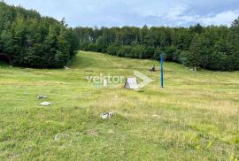 Platak, 10.780m2, zemljište u građevinskoj zoni, Čavle, Terreno