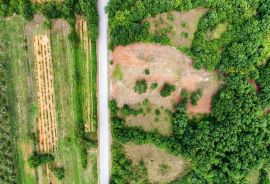 ISTRA, BARBAN Građevinska zemljišta na odličnoj lokaciji!, Barban, Land