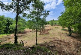 ISTRA, BARBAN Prostrano građevinsko zemljište!, Barban, Terrain