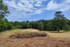 ISTRA, BARBAN Prostrano građevinsko zemljište!, Barban, Land