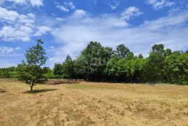 ISTRA, BARBAN Prostrano građevinsko zemljište!, Barban, Terreno