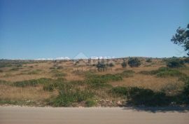OTOK VIR - Poljoprivredno zemljište s pogledom na more, Vir, Terrain