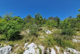 ISTRA, BUZET - Zemljište s panoramskim pogledom, Buzet, Zemljište