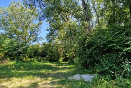 ISTRA, BUZET - Zemljište uz rijeku Mirnu, Buzet, Land