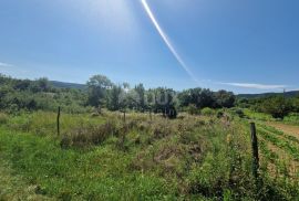 ISTRA, SOVINJAK - Poljoprivredno zemljište pogodno za vinogradarstvo, Buzet, Land