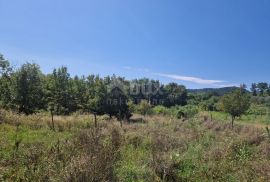 ISTRA, SOVINJAK - Poljoprivredno zemljište pogodno za vinogradarstvo, Buzet, Terrain