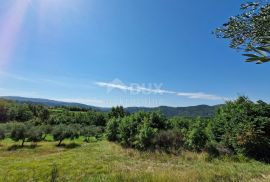 ISTRA, SOVINJAK - Poljoprivredno zemljište pogodno za maslinarstvo, Buzet, Terreno