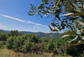 ISTRA, SOVINJAK - Poljoprivredno zemljište pogodno za maslinarstvo, Buzet, Terreno