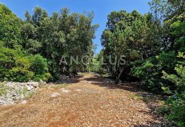 Ston, Zaton Doli, atraktivno zemljiište na obali - 4800 m2, Ston, Arazi