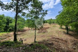 Barban, okolica, prostrano zemljište sa velikim potencijalom, Barban, Land