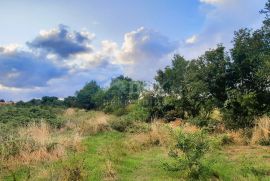 ISTRA, PULA, OKOLICA - Građevinsko zemljište u blizini Pule, Marčana, Zemljište