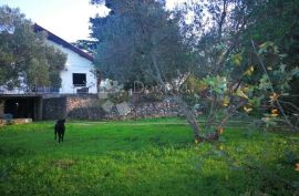 Šarmantna kuća na Sunčanom Hvaru, Stari Grad, House