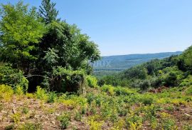 ISTRA, GROŽNJAN - Imanje s panoramskim pogledom, Grožnjan, Σπίτι