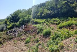 ISTRA, GROŽNJAN - Imanje s panoramskim pogledom, Grožnjan, Σπίτι