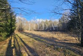 Vikendica - Maševo sa velikom okućnicom, Vinodolska Općina, Kuća