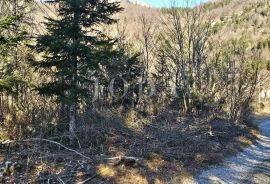 Vikendica - Maševo sa velikom okućnicom, Vinodolska Općina, Kuća