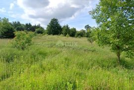 ISTRA, LABIN - Prostrano kombinirano zemljiše, Labin, Terrain