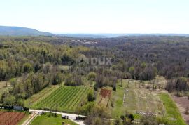 ISTRA, LABIN - Prostrano kombinirano zemljiše, Labin, Zemljište