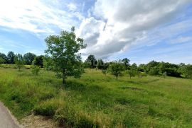 ISTRA, LABIN - Prostrano kombinirano zemljiše, Labin, Terrain