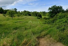 ISTRA, LABIN - Prostrano kombinirano zemljiše, Labin, Terrain