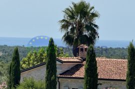 Istra, Tar, dizajnerska vila na prekrasnoj lokaciji, Tar, بيت