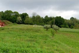 ISTRA, BARBAN - Zemljište s građevinskom dozvolom, Barban, Γη