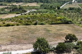 Građevinsko zemljište Prodaja građevinskih parcela sa pogledom na more, za izgradnju stambenih objekata, Buje!, Buje, أرض