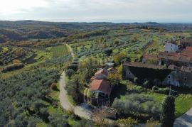 ISTRA, MOMJAN - Jedinstveno imanje na prekrasnoj lokaciji s pogledom, Buje, Famiglia