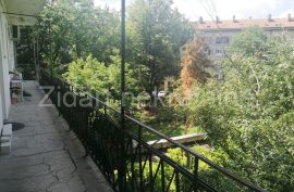 Izvanredno lep salonac u centru Zemuna sa pogledom na park, Zemun, Appartement