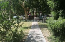 Izvanredno lep salonac u centru Zemuna sa pogledom na park, Zemun, Appartment