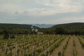 Donje Raštane, građevinsko zemljište, povoljno, Sveti Filip I Jakov, Land