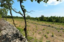 LABIN, SV. LOVREČ, VLAKOVO - građevinski teren 8600m2 za hotel /boutique hotel/ obiteljsku kuću/ villu/ apartmane/ kuću za iznajmljivanje sa bazenom/ kuću za odmor sa bazenom, Raša, Land