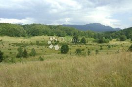 Prostrano zemljište u okolici Bala, Bale, Terrain