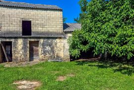 Kanfanar, okolica, starina za renovaciju sa dvorištem, Kanfanar, House