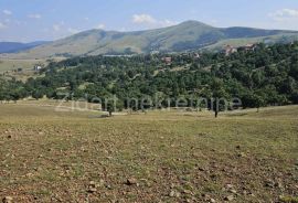 Zlatibor, Gornje Rudine, građevinski plac od 77,92 ara, Čajetina, Land