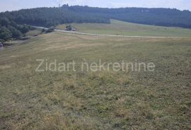 Zlatibor, Gornje Rudine, građevinski plac od 77,92 ara, Čajetina, Terrain