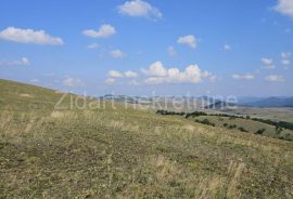 Zlatibor, Gornje Rudine, građevinski plac od 77,92 ara, Čajetina, Terrain