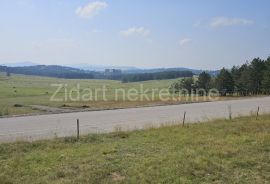 Zlatibor, Gornje Rudine, građevinski plac od 77,92 ara, Čajetina, Zemljište