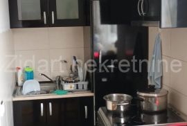 Karaburma, Patrisa Lumumbe, prodaja sa nameštajem, Palilula, Appartment