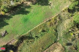 ISTRA, PIĆAN, ZEMLJIŠTE NA OSAMI S DOZVOLOM ZA VILLU, Pićan, Terrain