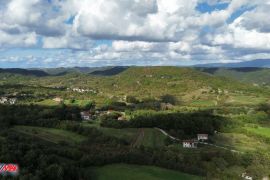 ISTRA, PIĆAN, ZEMLJIŠTE NA OSAMI S DOZVOLOM ZA VILLU, Pićan, Arazi