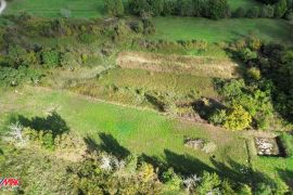 ISTRA, PIĆAN, ZEMLJIŠTE NA OSAMI S DOZVOLOM ZA VILLU, Pićan, Land