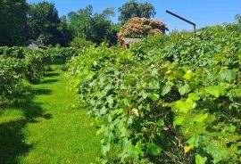 BELIŠĆE!ATRAKTIVNO ZEMLJIŠTE 1857m2!DRAVSKA OBALA!, Belišće, Terreno