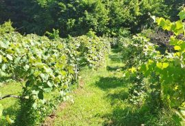 BELIŠĆE!ATRAKTIVNO ZEMLJIŠTE 1857m2!DRAVSKA OBALA!, Belišće, Terreno