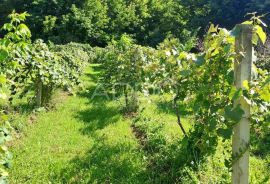 BELIŠĆE!ATRAKTIVNO ZEMLJIŠTE 1857m2!DRAVSKA OBALA!, Belišće, Terreno