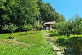 Zabok, Gubaševo, vikendica od cca 50 m², na prodaju, Zabok, House